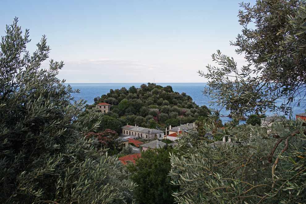 Damouchari
