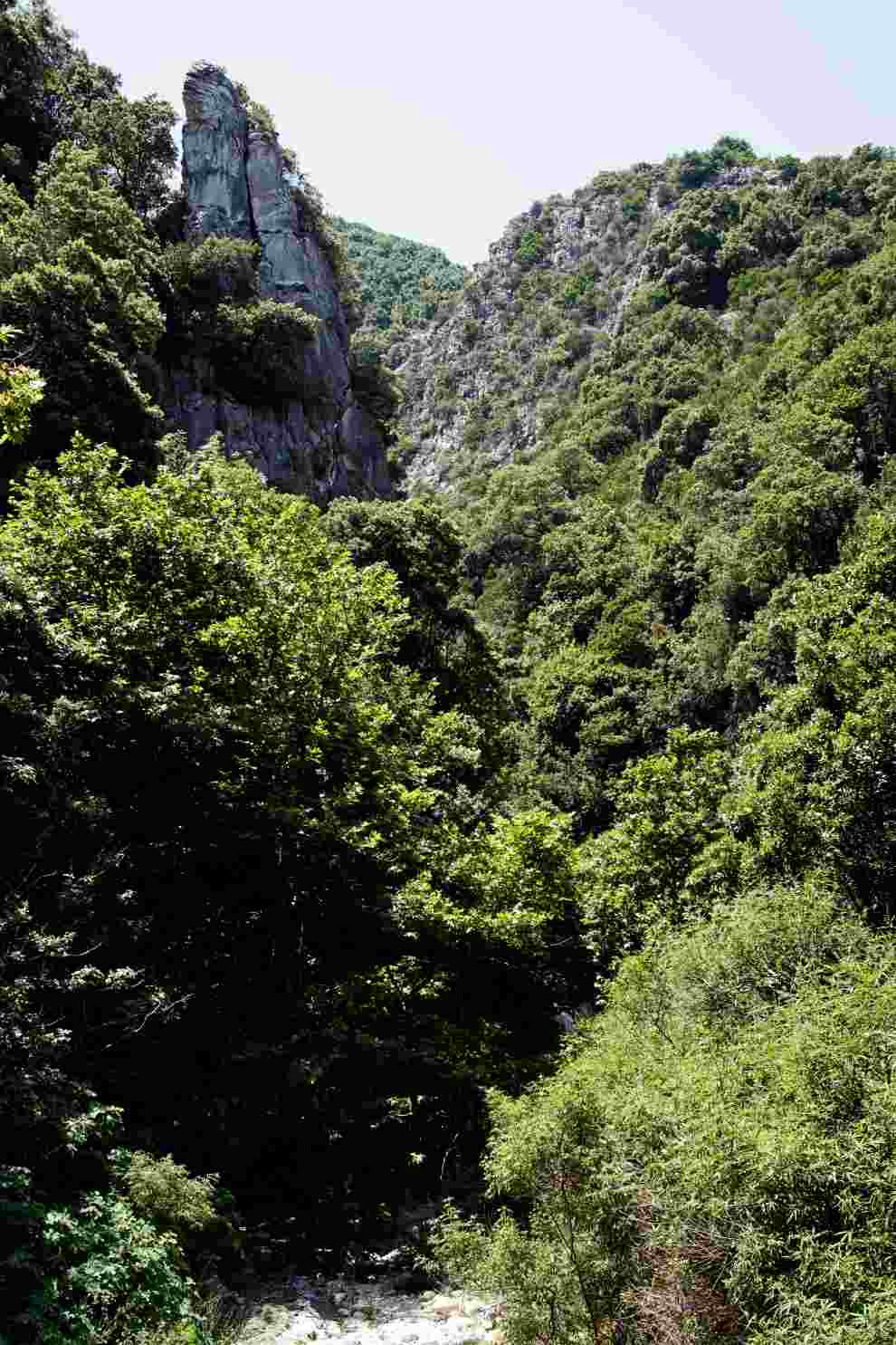 Damouchari