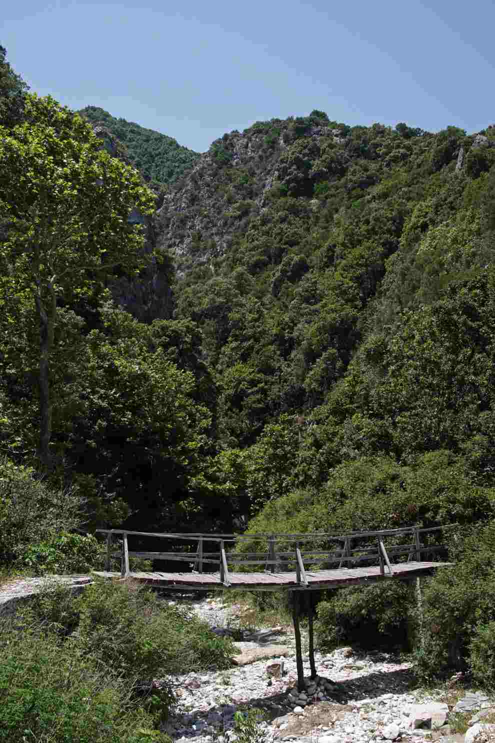 Damouchari