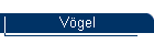 Vögel