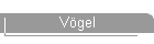 Vgel