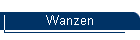 Wanzen