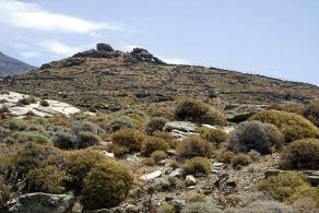 Fundort / Insel Andros / zwischen Batsi Sd und Ausgrabungssttte ΥΨΗΛΟΥ / Griechenland