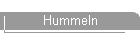 Hummeln