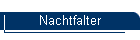 Nachtfalter