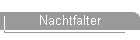 Nachtfalter