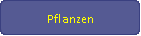 Pflanzen