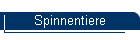 Spinnentiere