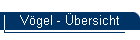 Vögel - Übersicht