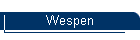 Wespen