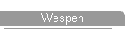 Wespen