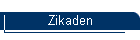 Zikaden