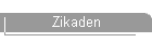 Zikaden